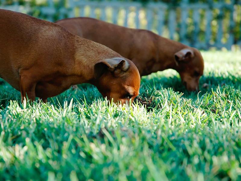 sudoku tournament screenshot 3