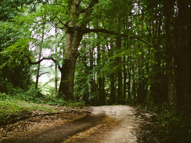 sudoku valid solution screenshot 5